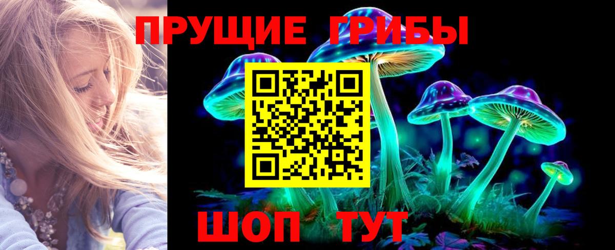 Галлюциногенные грибы мицелий  Вход с VPN  Черногорск 