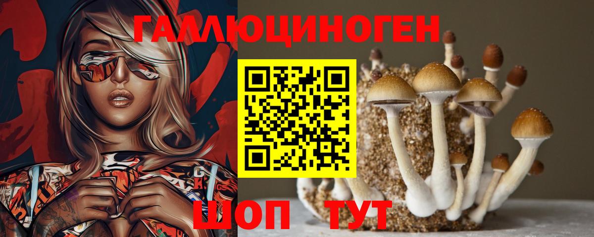 Галлюциногенные грибы MAGIC MUSHROOMS Черногорск